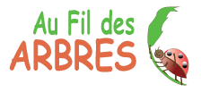 Au fil des Arbres